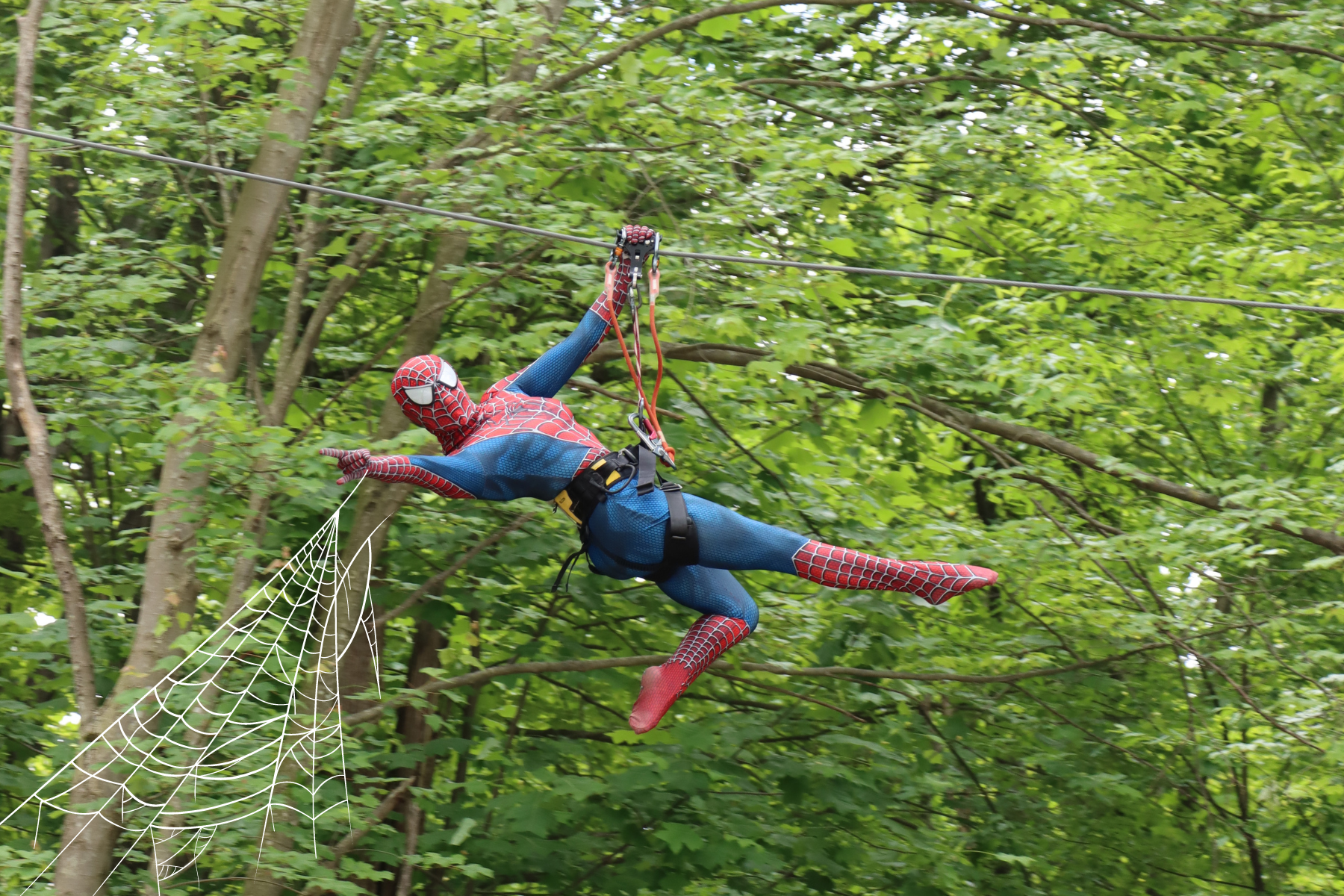 spiderman zipline