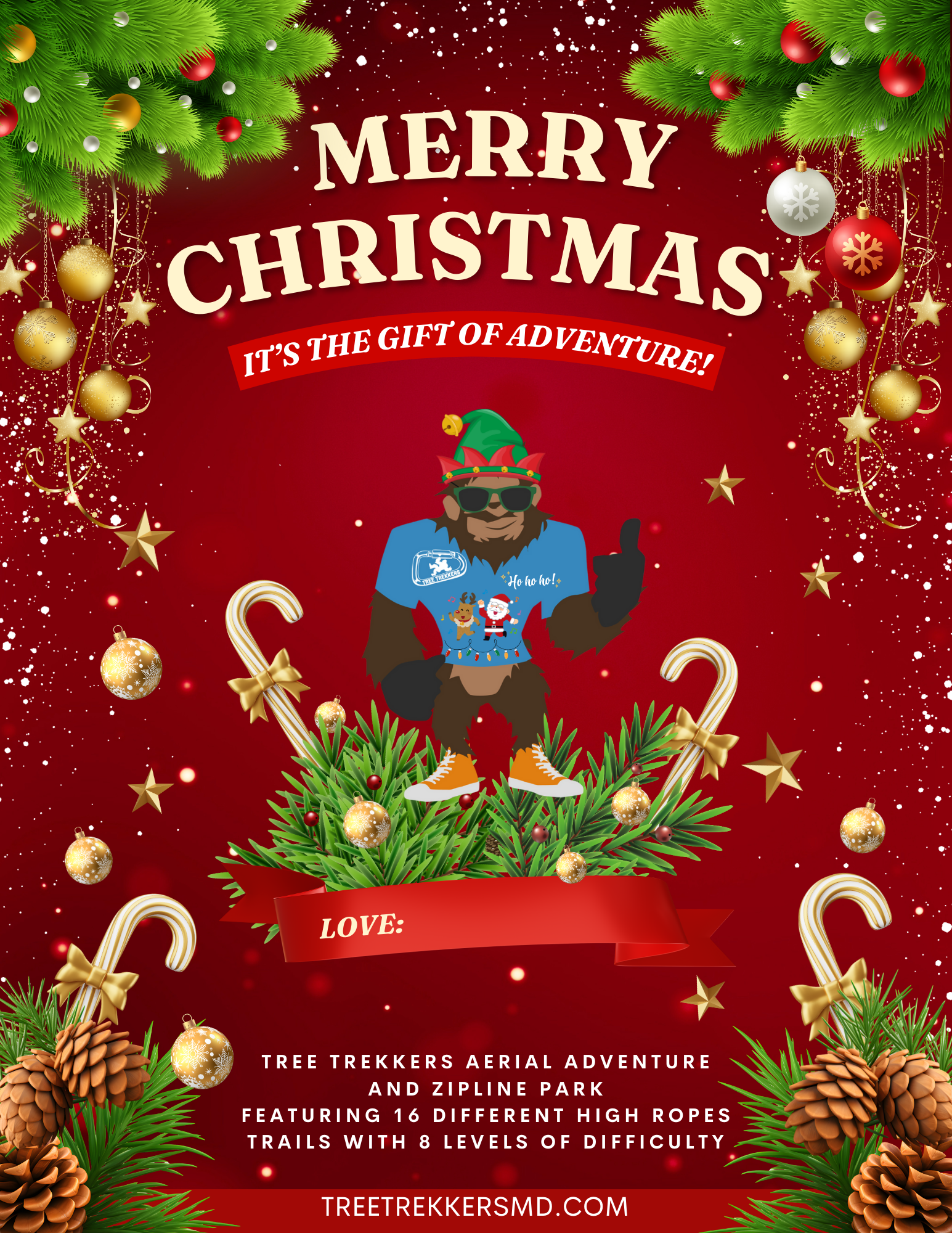 Merry Christmas Card