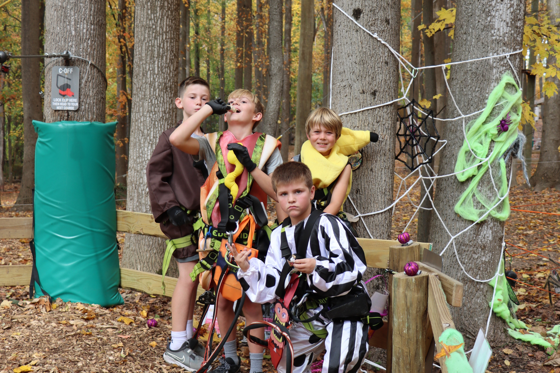 Halloween at Tree Trekkers high ropes and zipline park