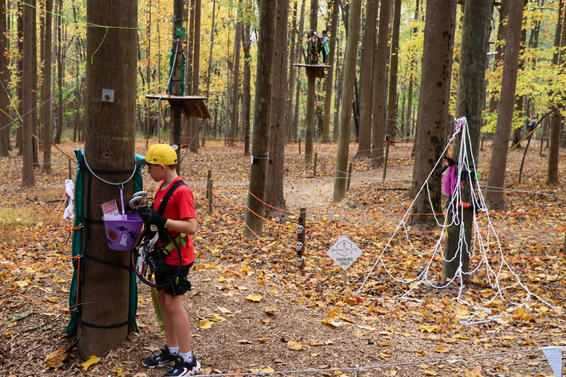 Halloween at Tree Trekkers high ropes and zipline park