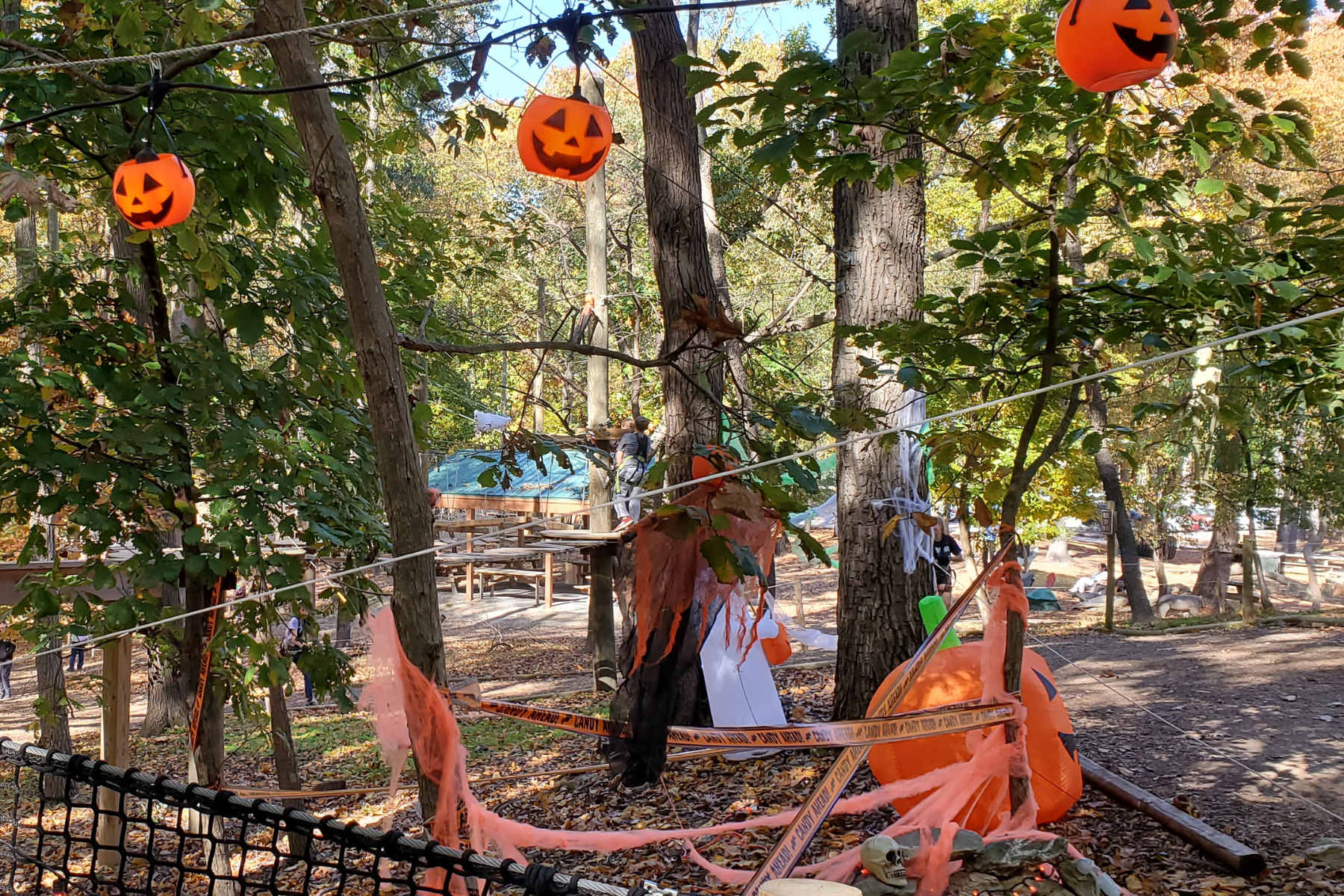 Tree Trekkers decorated for Halloween