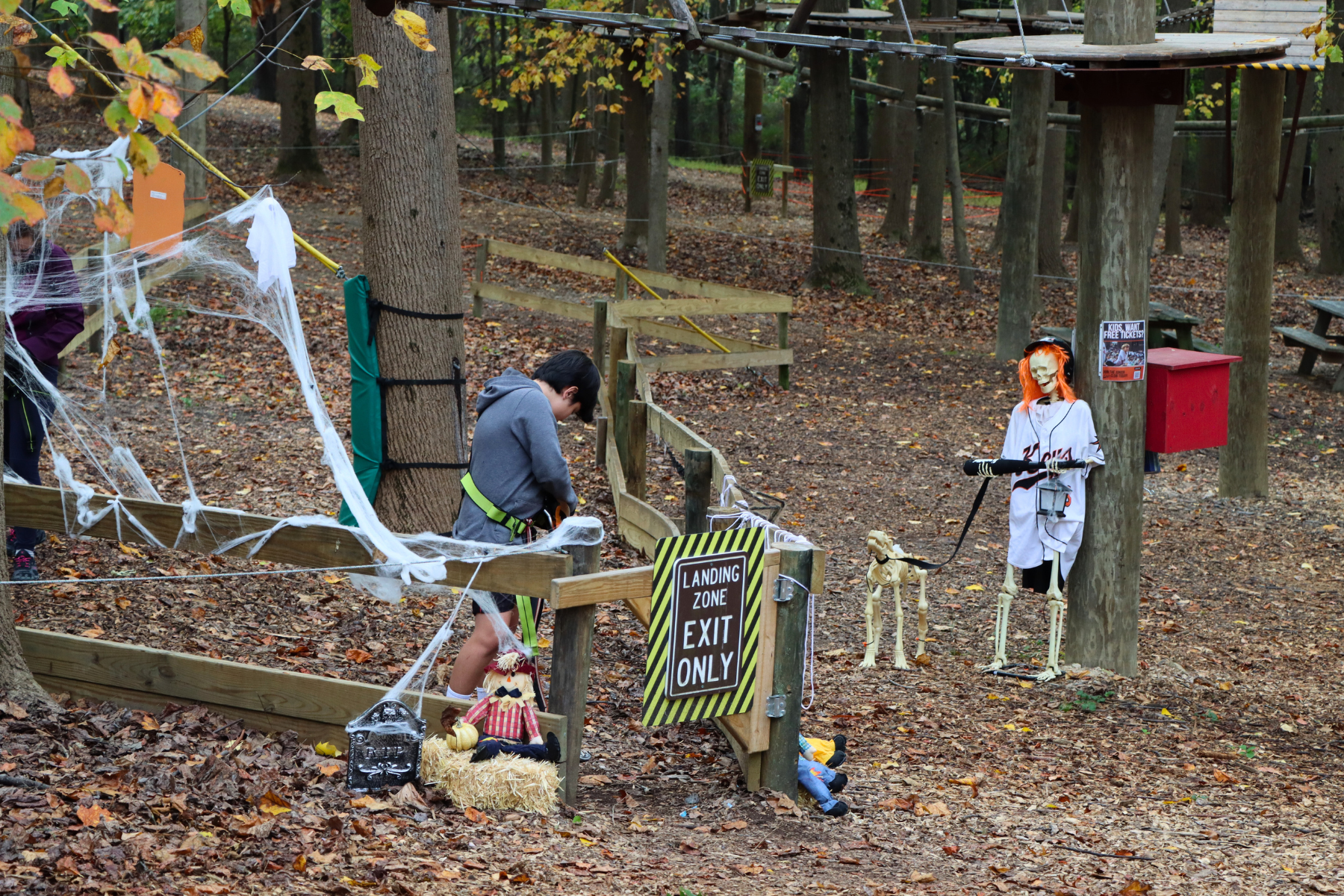 Halloween at Tree Trekkers high ropes and zipline park