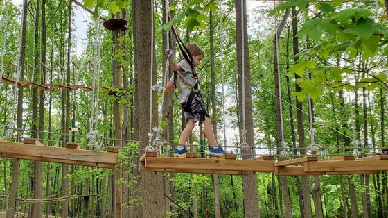 Young boy walking across wooden obstacle