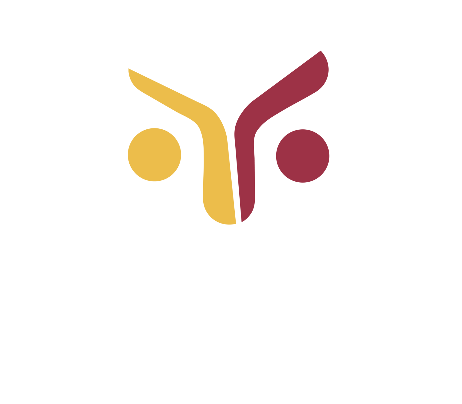 City youth matrix logo