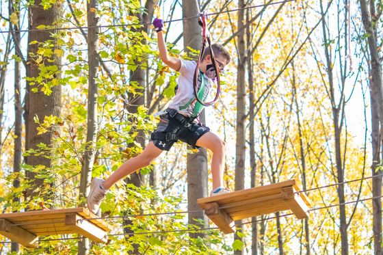 Tree Trekkers Outdoor Aerial Adventure and Zipline Park