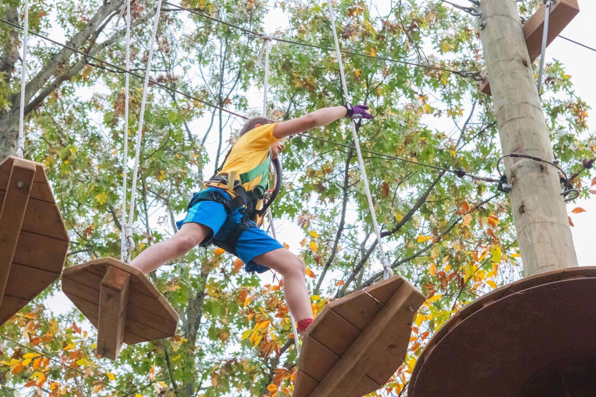 Young adult climbing aerial obstacle on high ropes course