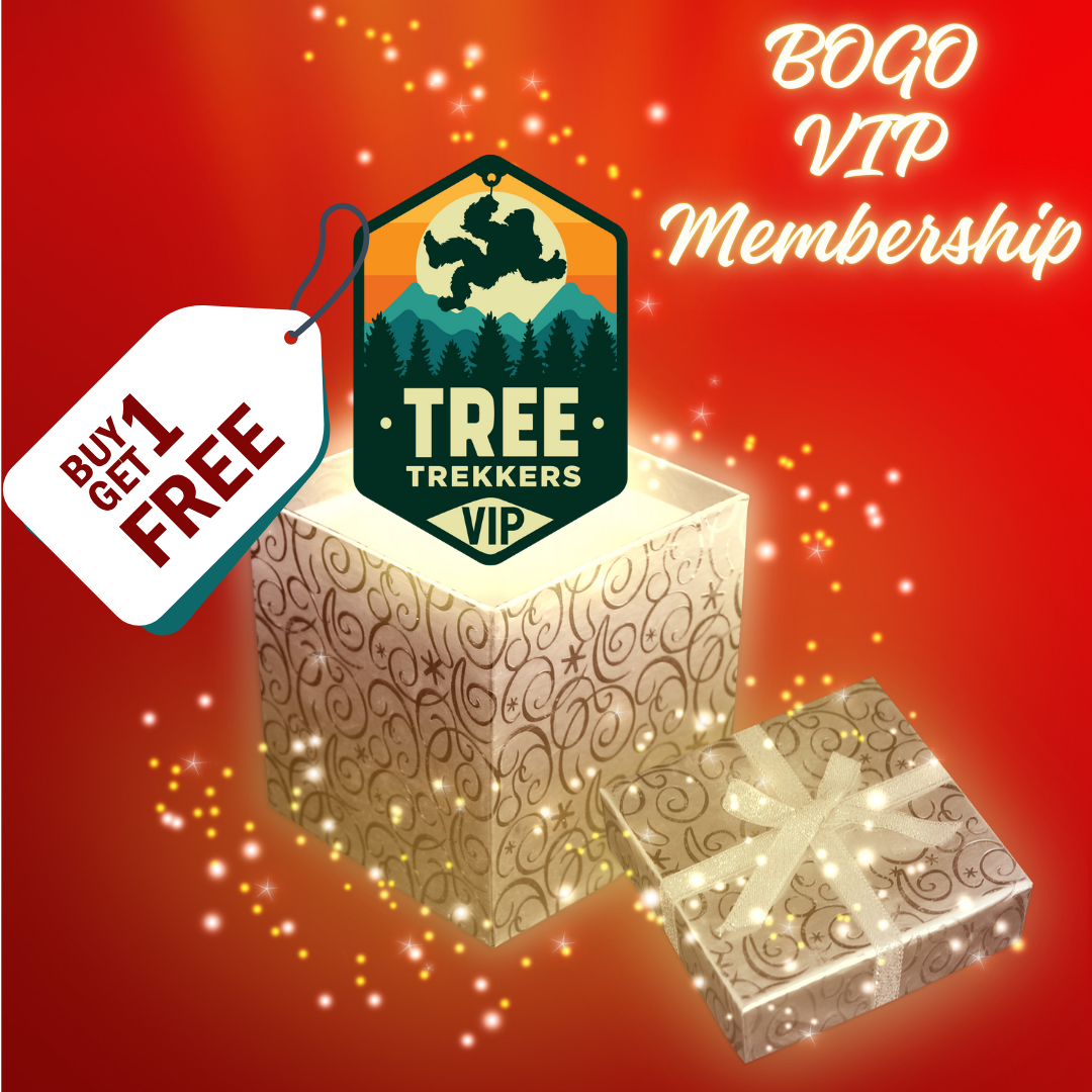 VIP Membership