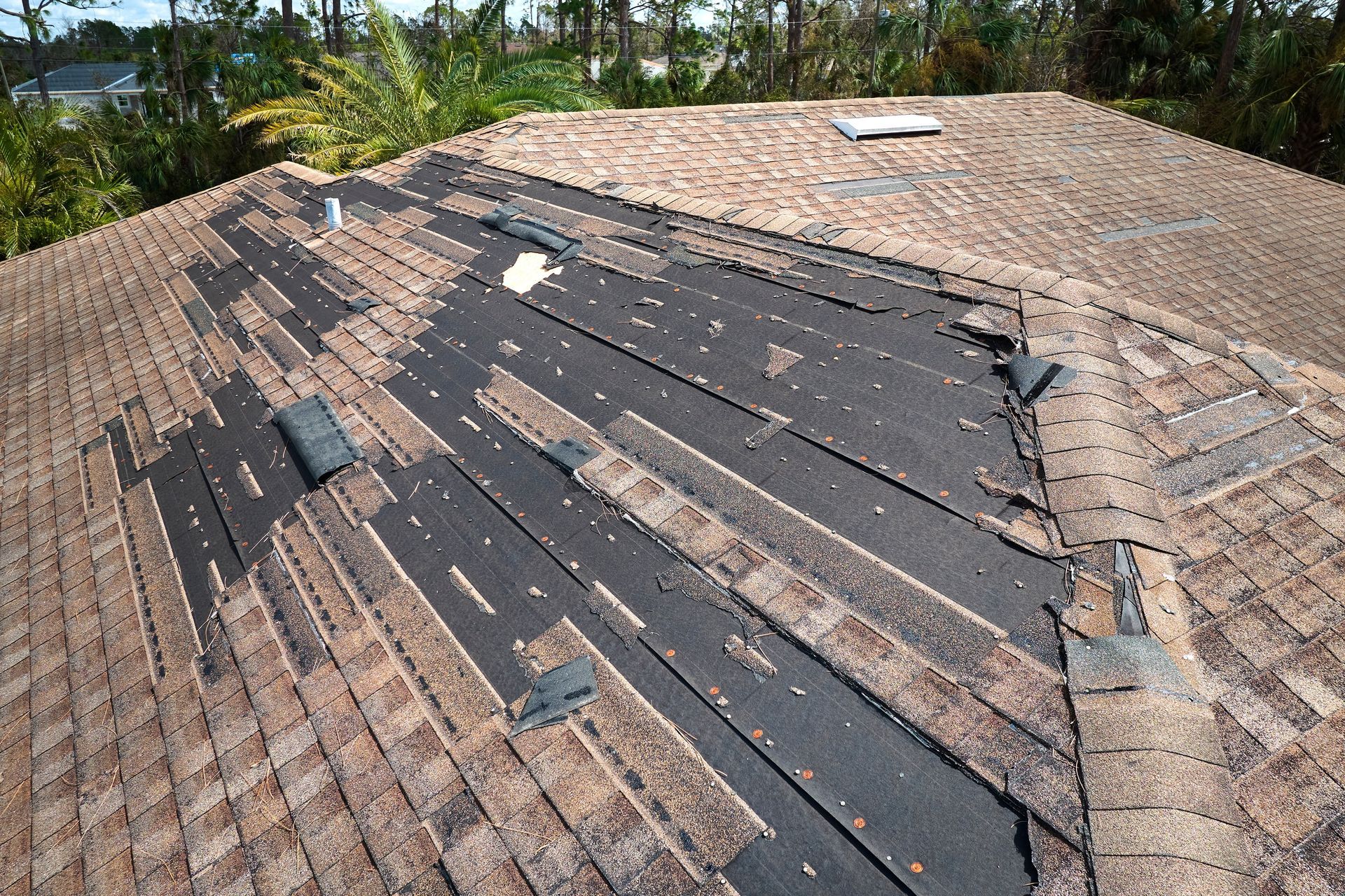 A roof with a lot of shingles that are missing