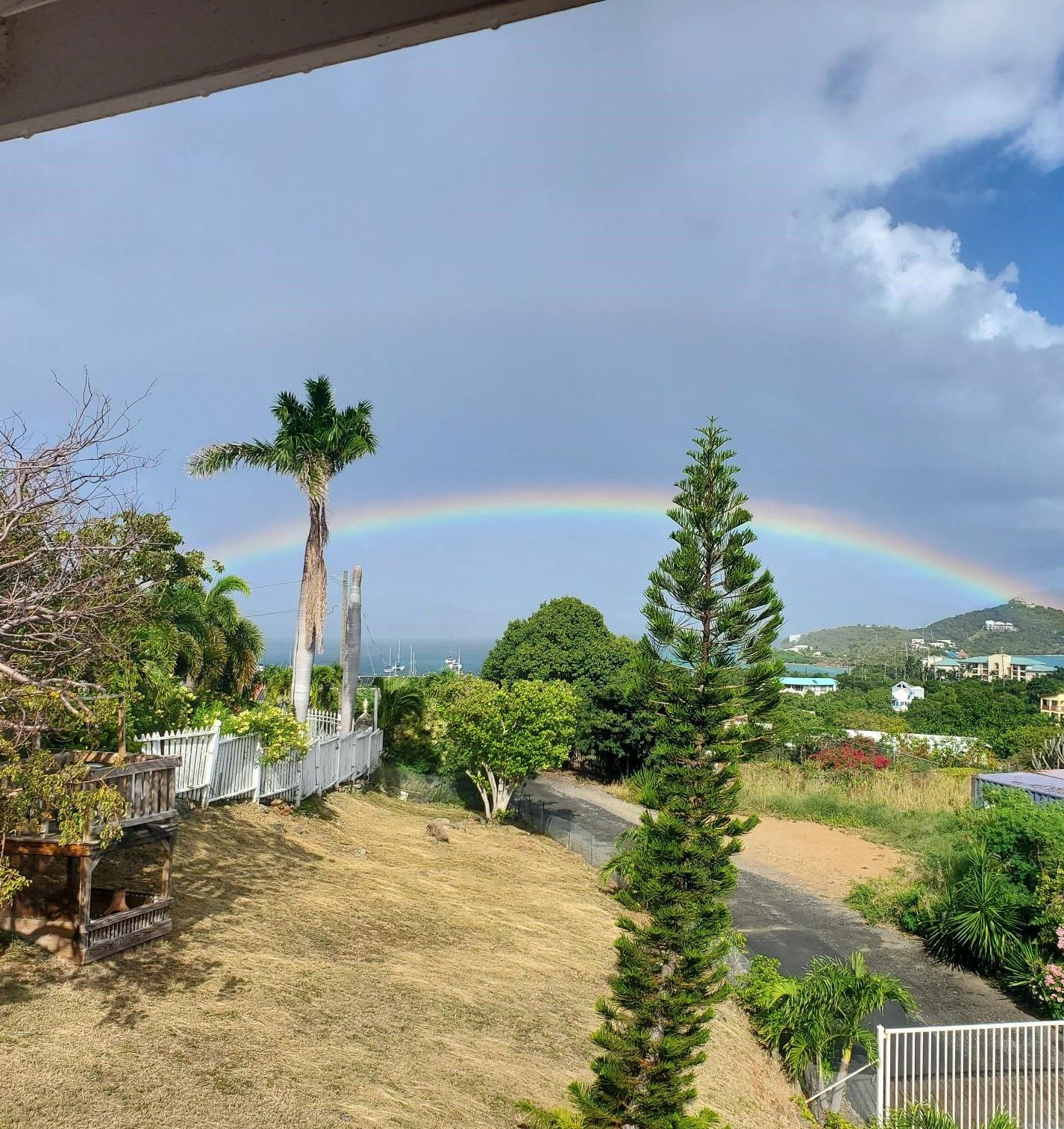 A rainbow arcs over a landscape with trees, houses, and a blue sky. A palm tree and other foliage frame the view.