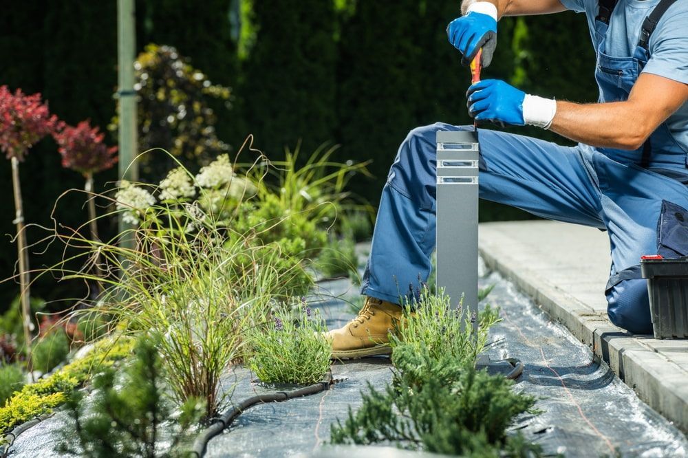 Gardener kneeling, installing a light in a garden bed with lush greenery and plants