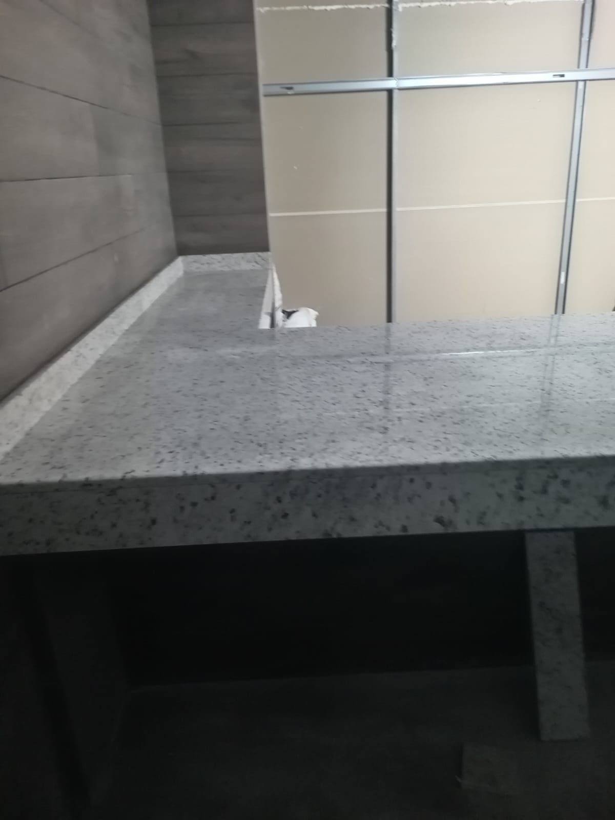 Una encimera en un baño con una puerta corrediza de vidrio al fondo.