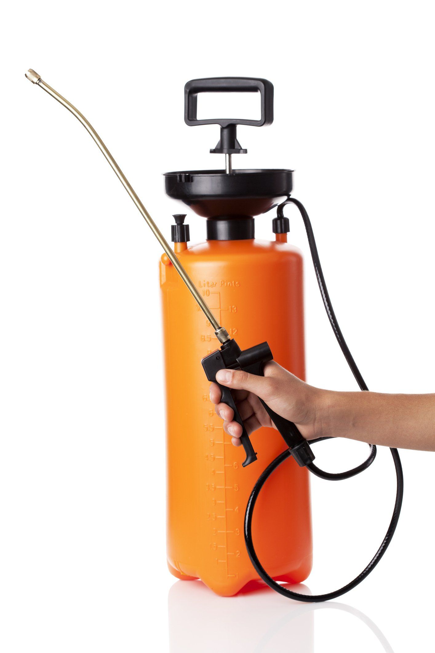 articoli per l'ecologia