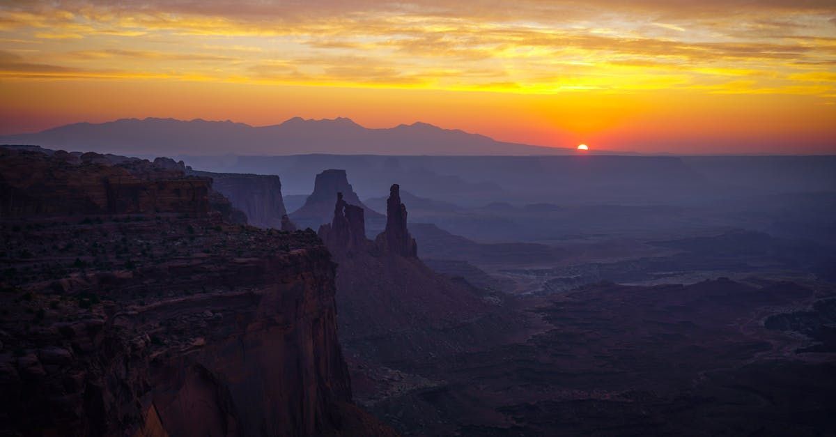 A woman is sitting at a desk with a laptop and a vase of flowers.