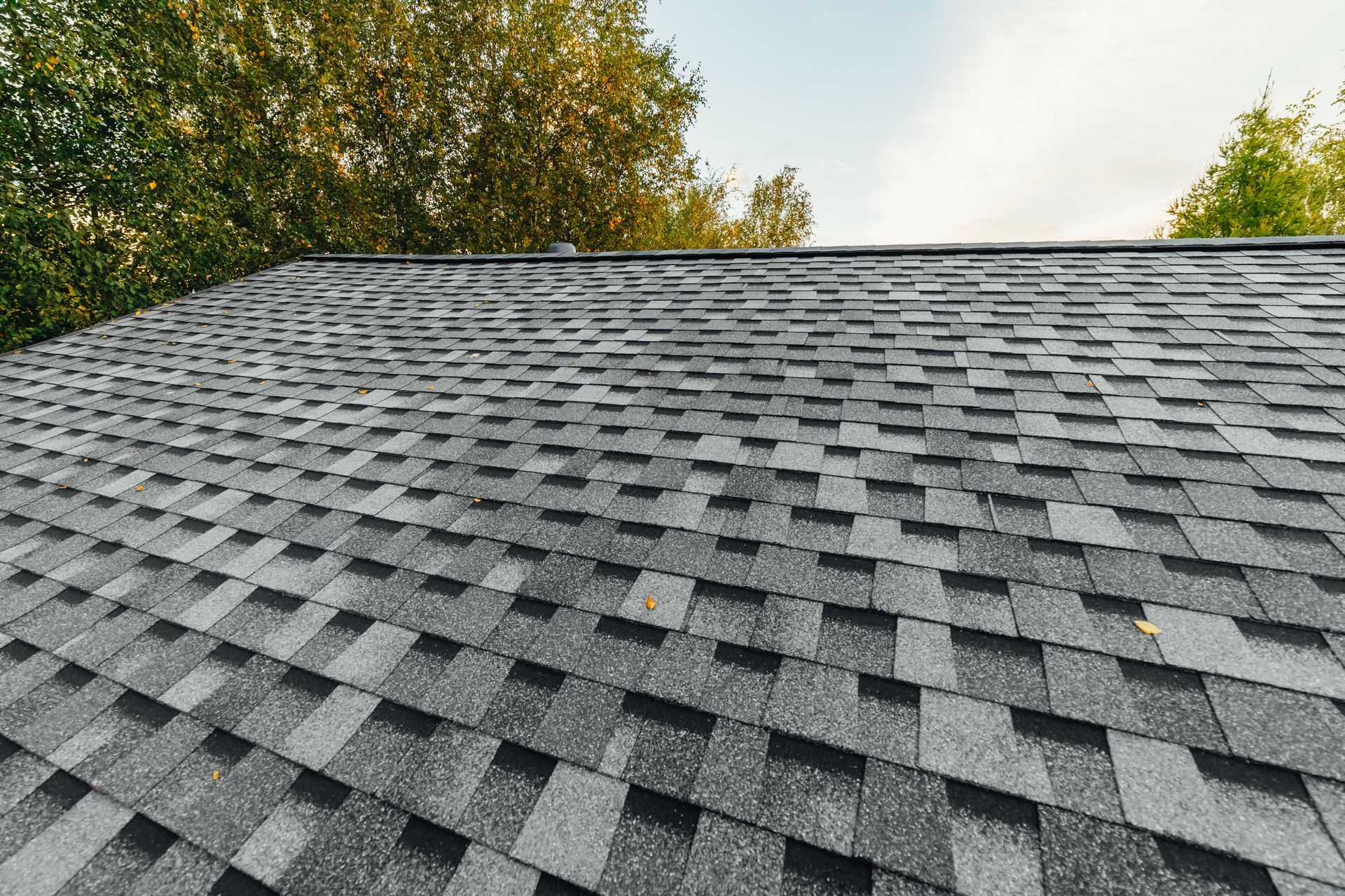Gray asphalt shingle roof on a house, with treetops in the background under a cloudy sky.