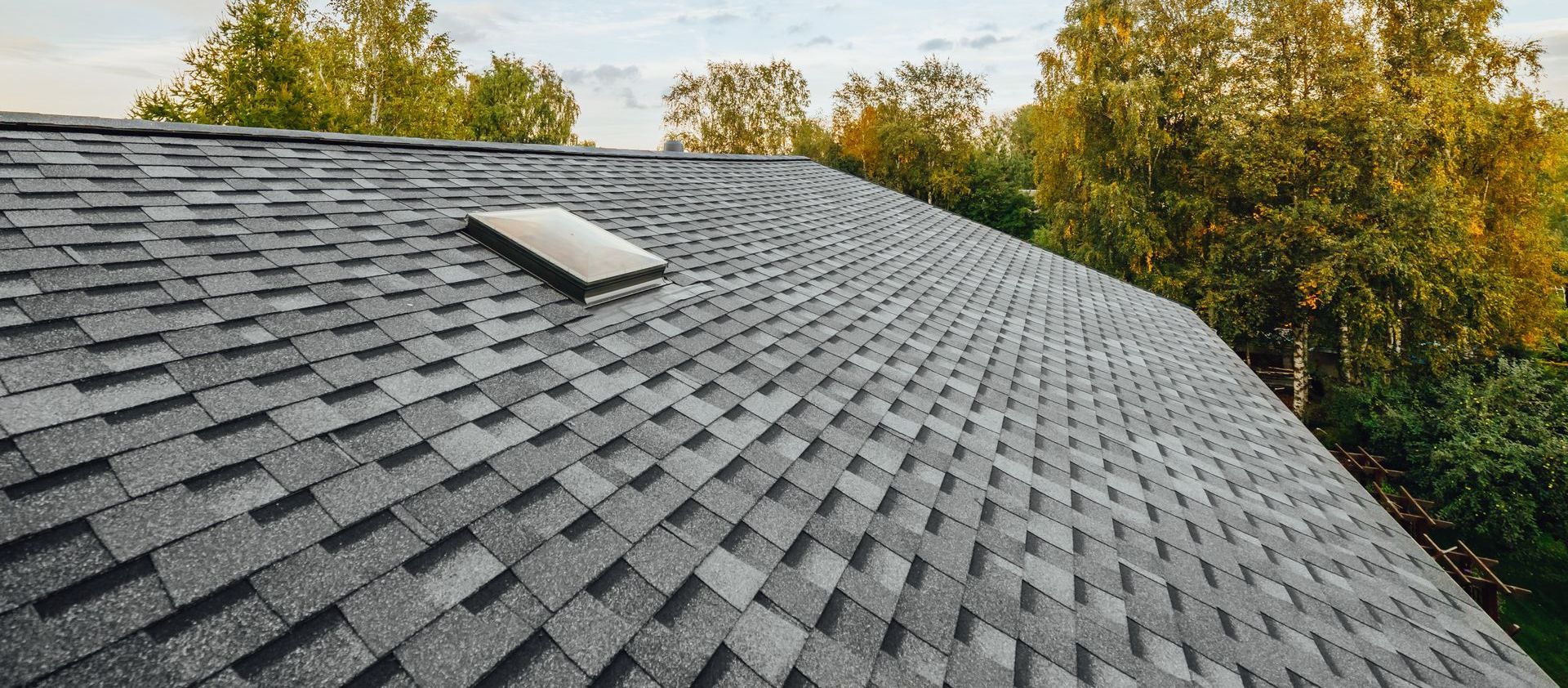 A roof with a skylight and trees in the background.