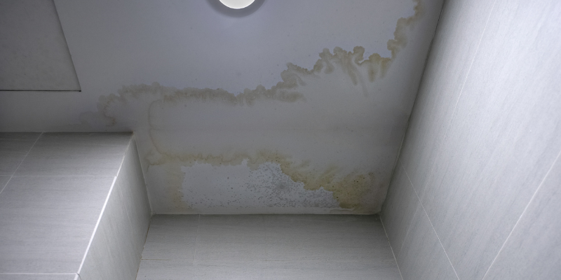 drywall ceilings