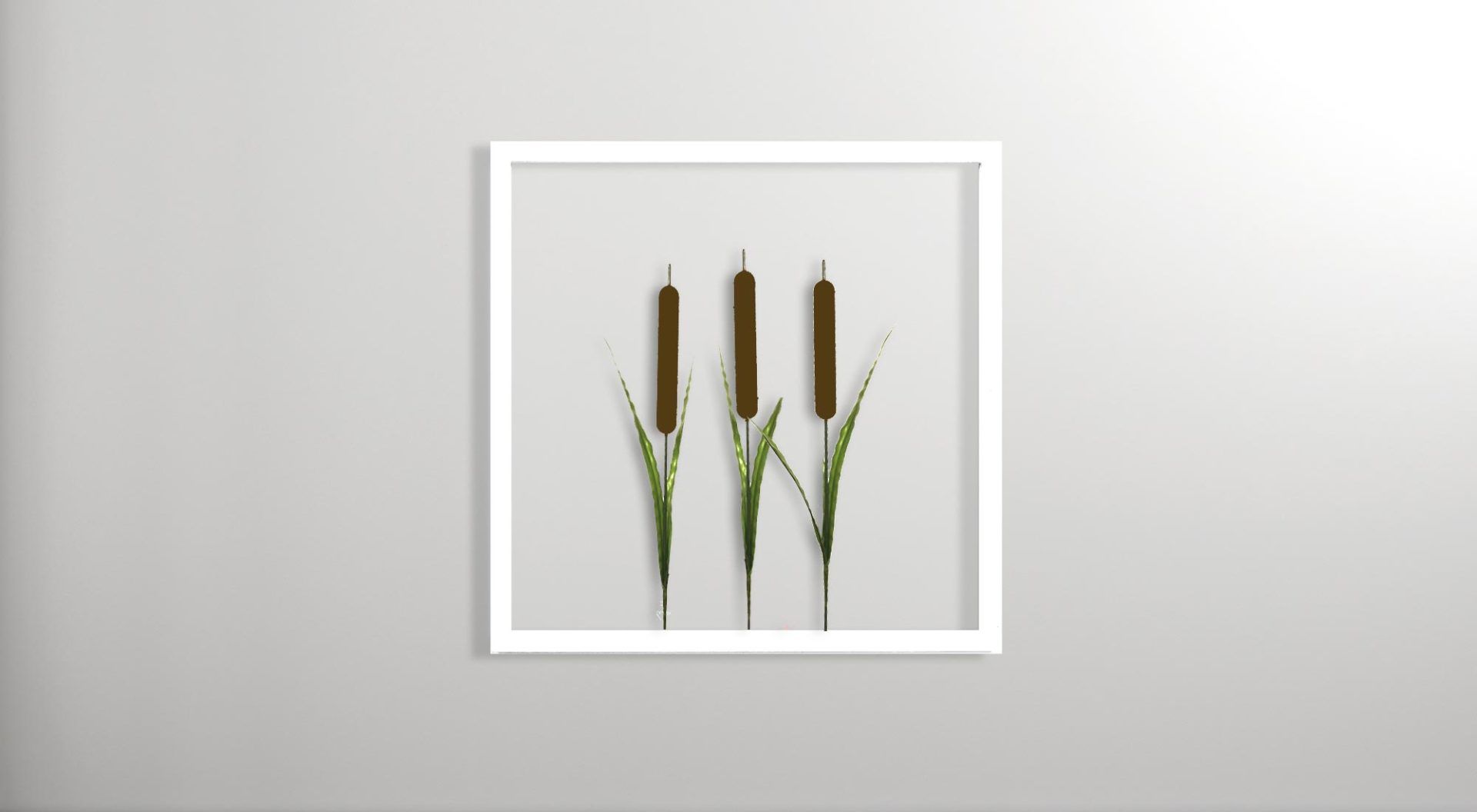 Ein Bild von drei Schilfpflanzen in einem weißen Rahmen an einer weißen Wand.