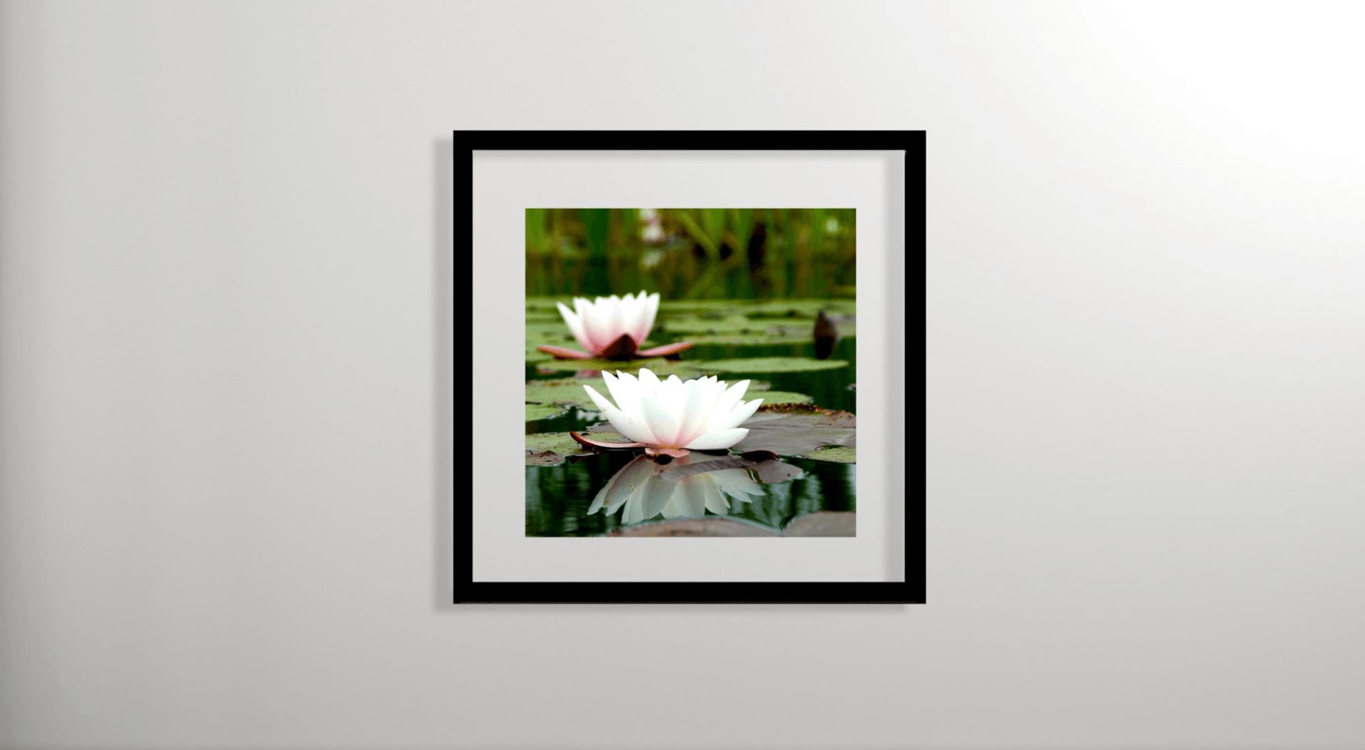 Ein gerahmtes Bild von zwei weißen Blumen in einem Teich