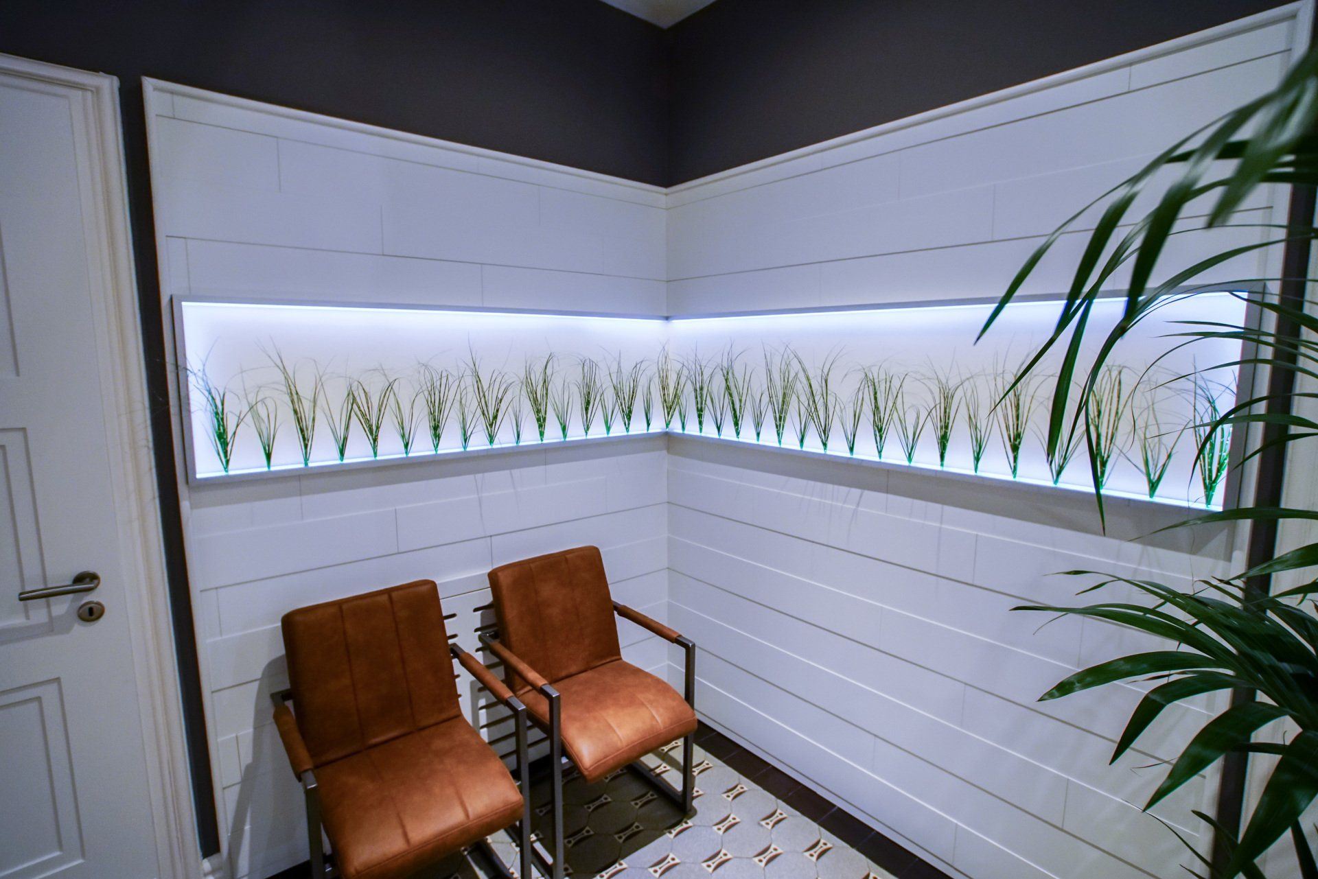 Ein Wartezimmer mit zwei Stühlen und einer Pflanze.