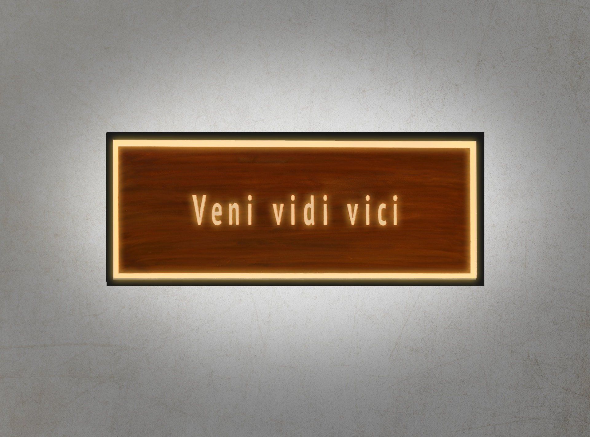 Ein Schild mit der Aufschrift „veni vidi vici“
