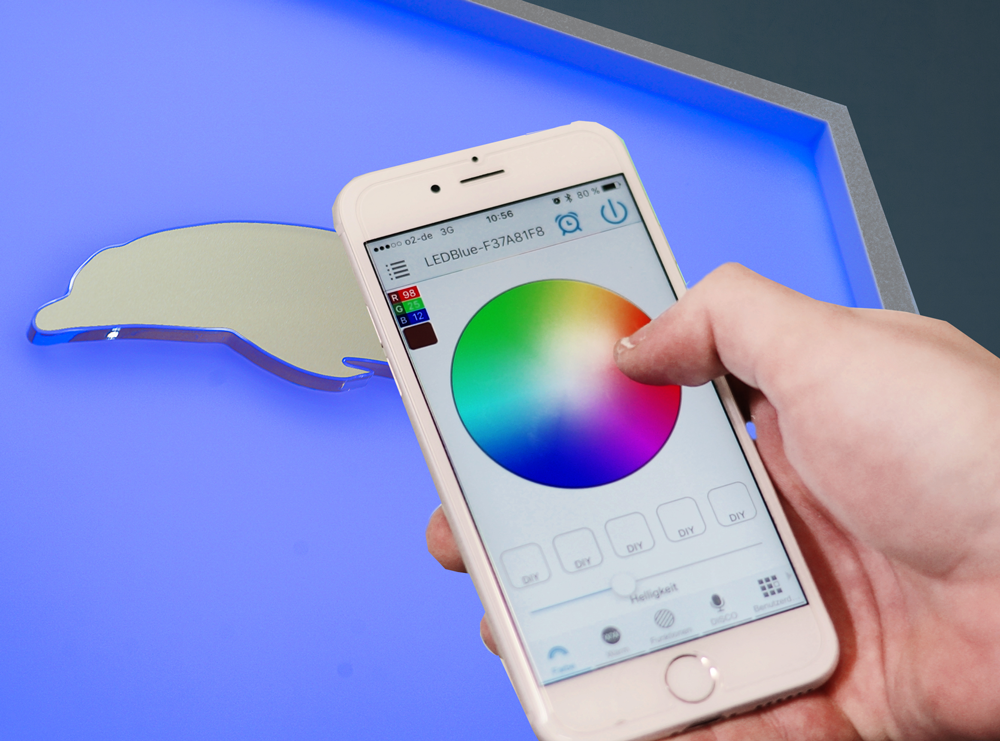 Eine Person hält ein Mobiltelefon mit einem Delphin auf dem Bildschirm.
