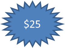 $25 Visa Gift Card — Fort Myers, FL — Central Aire Conditioning