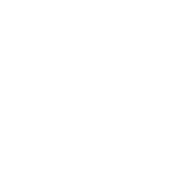 Hampton Court Palace Festive Fayre