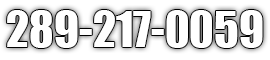 Telephone number: 289-217-0059 in white text with a grey drop shadow.
