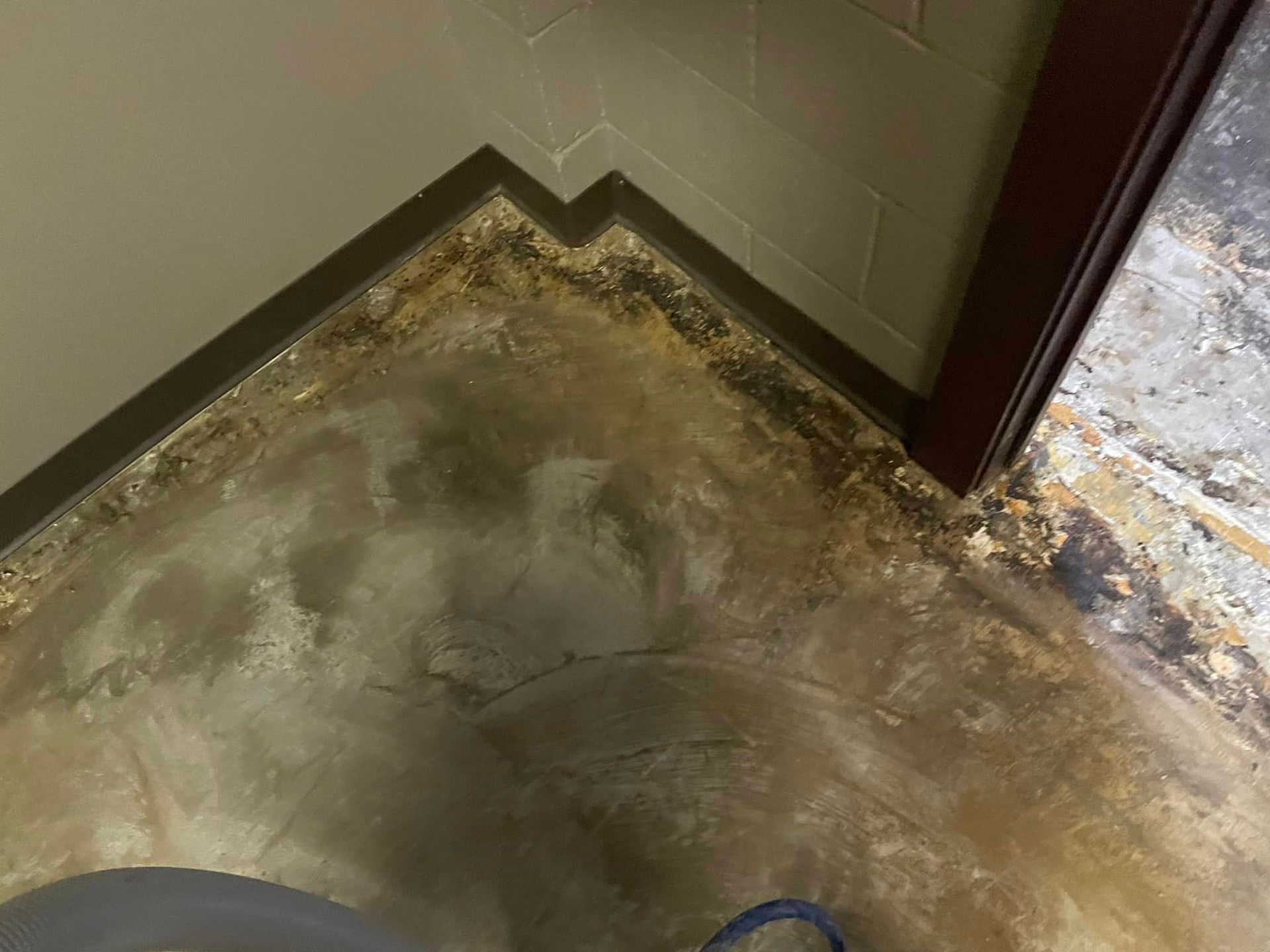 A corner of a room with a stained concrete floor and mold along the baseboards.