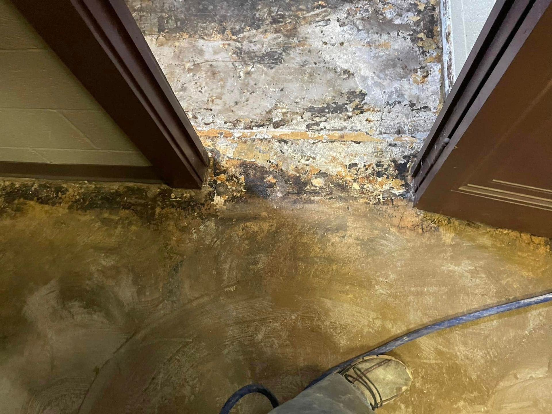 Water-damaged floor with yellow and brown stains near a door frame, showing possible mold growth.