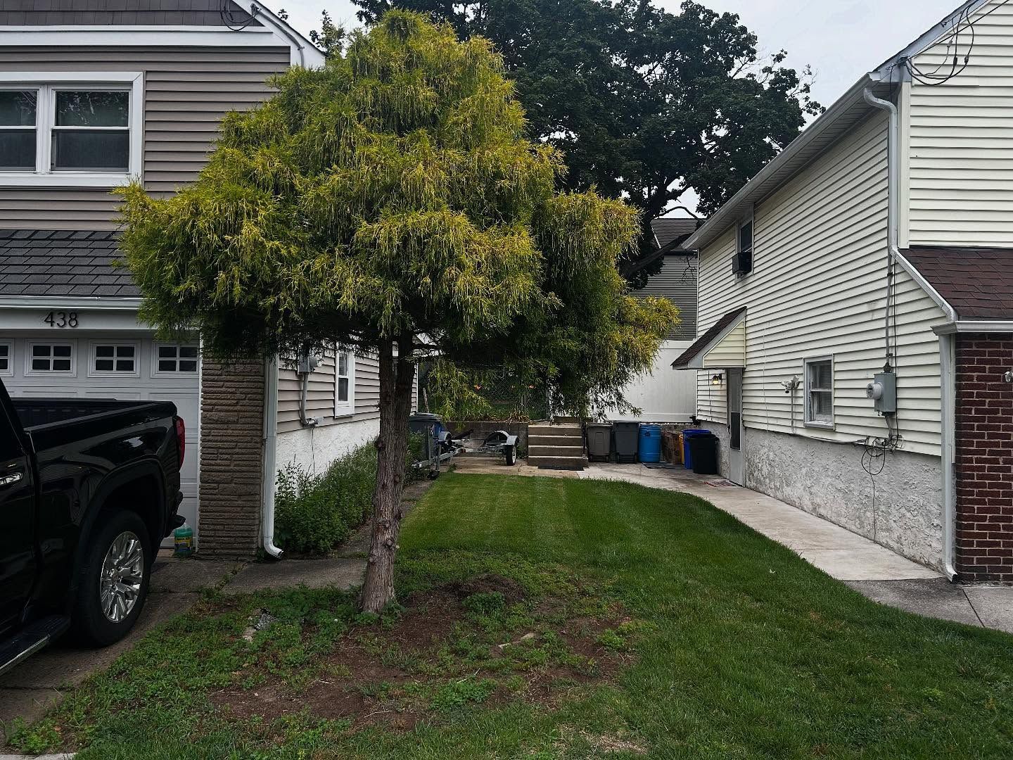 Tree in front yard of houses with black truck parked.