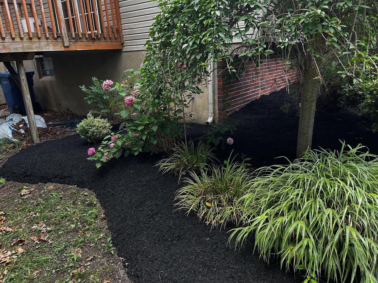 Garden bed with black mulch, various green plants, and a section of a wooden deck.
