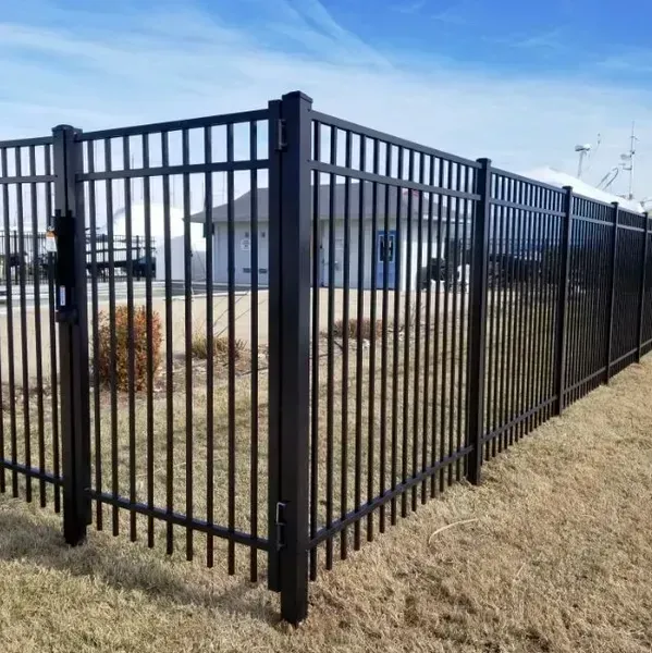 Black metal fence enclosing a grassy area with a building visible in the background under a blue sky.