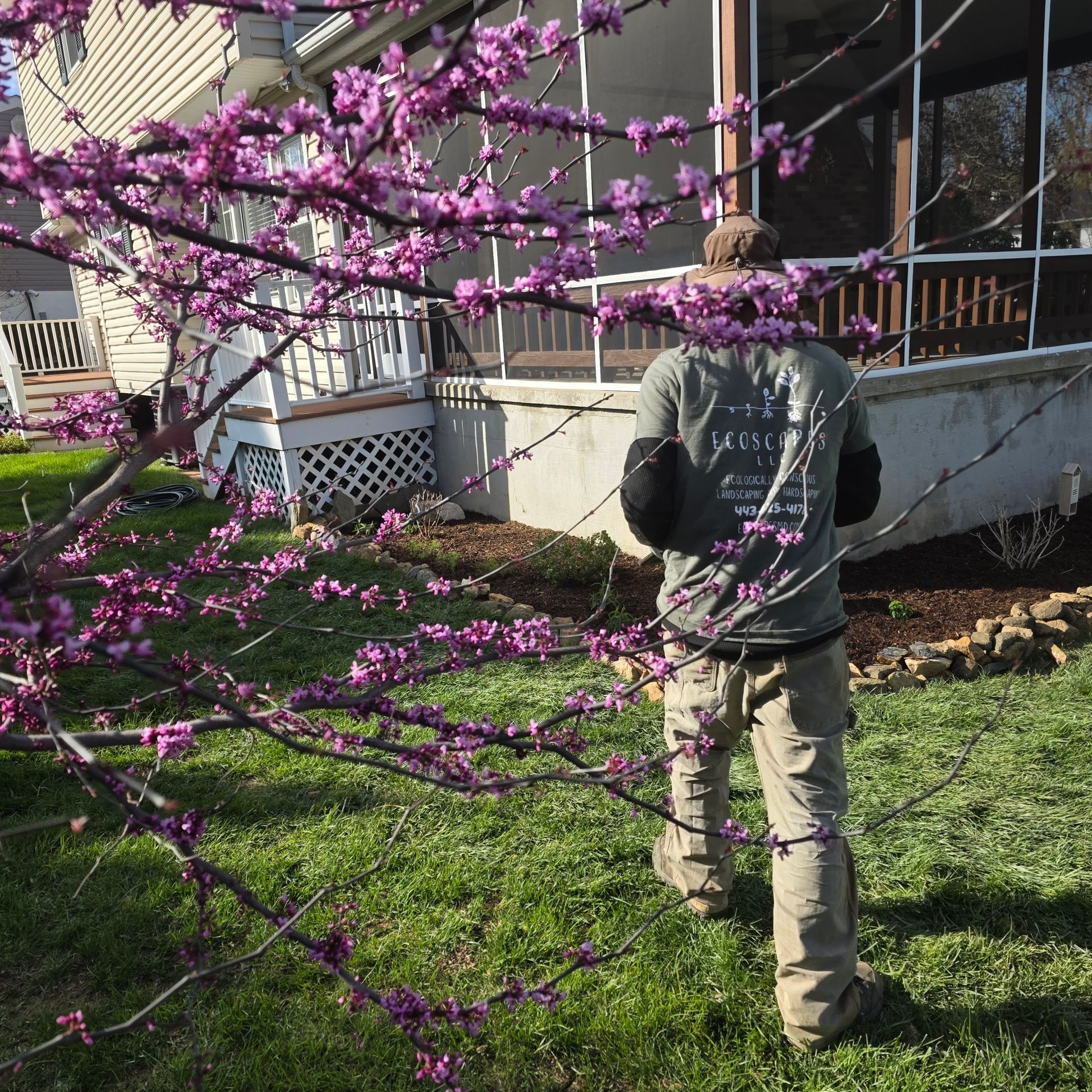 Man in work clothes in yard near flowering tree and house.