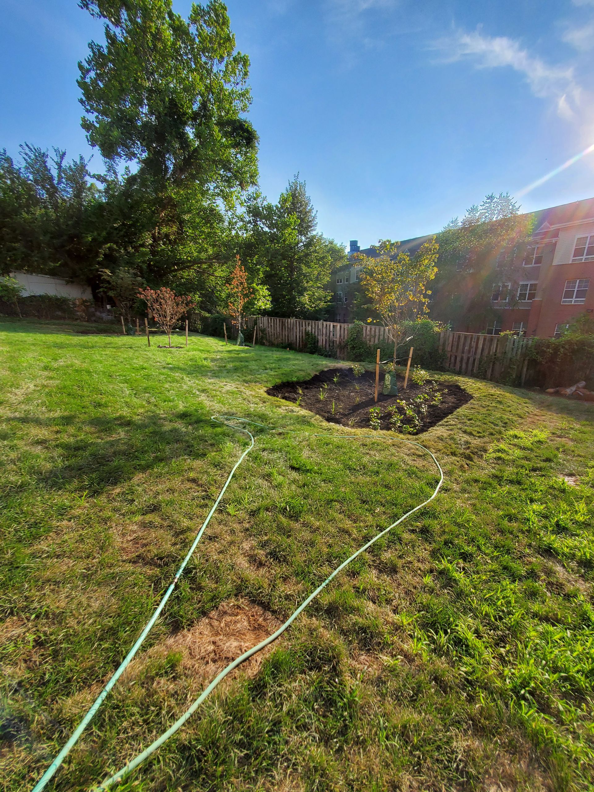 Green lawn with a garden bed, trees, fence, and sunlight.