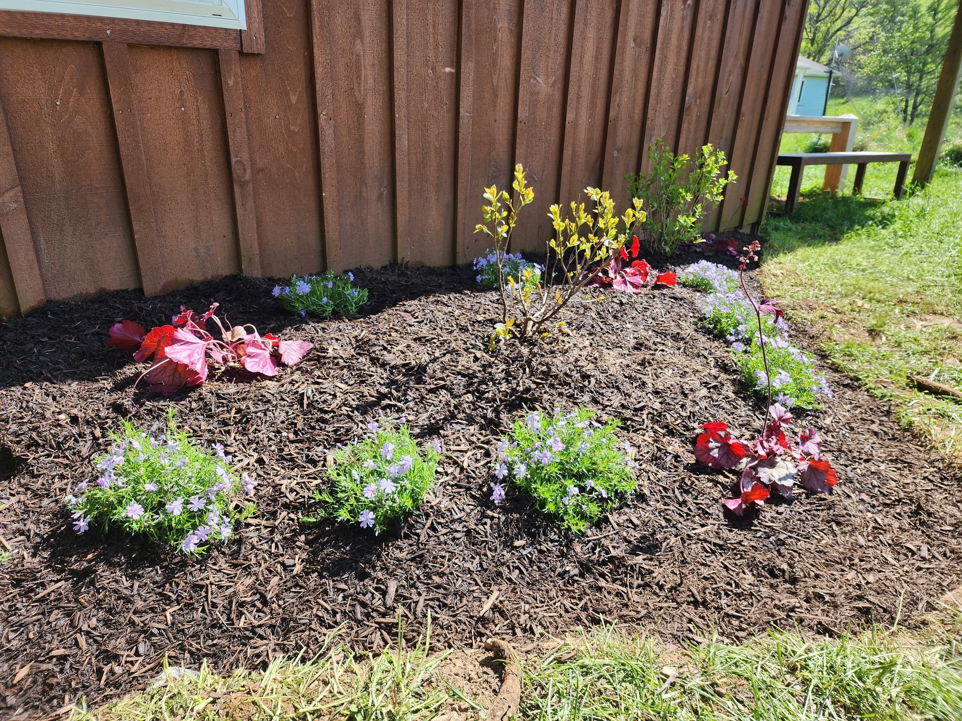 Flower garden with dark mulch, various plants in bloom, next to a brown wooden structure.