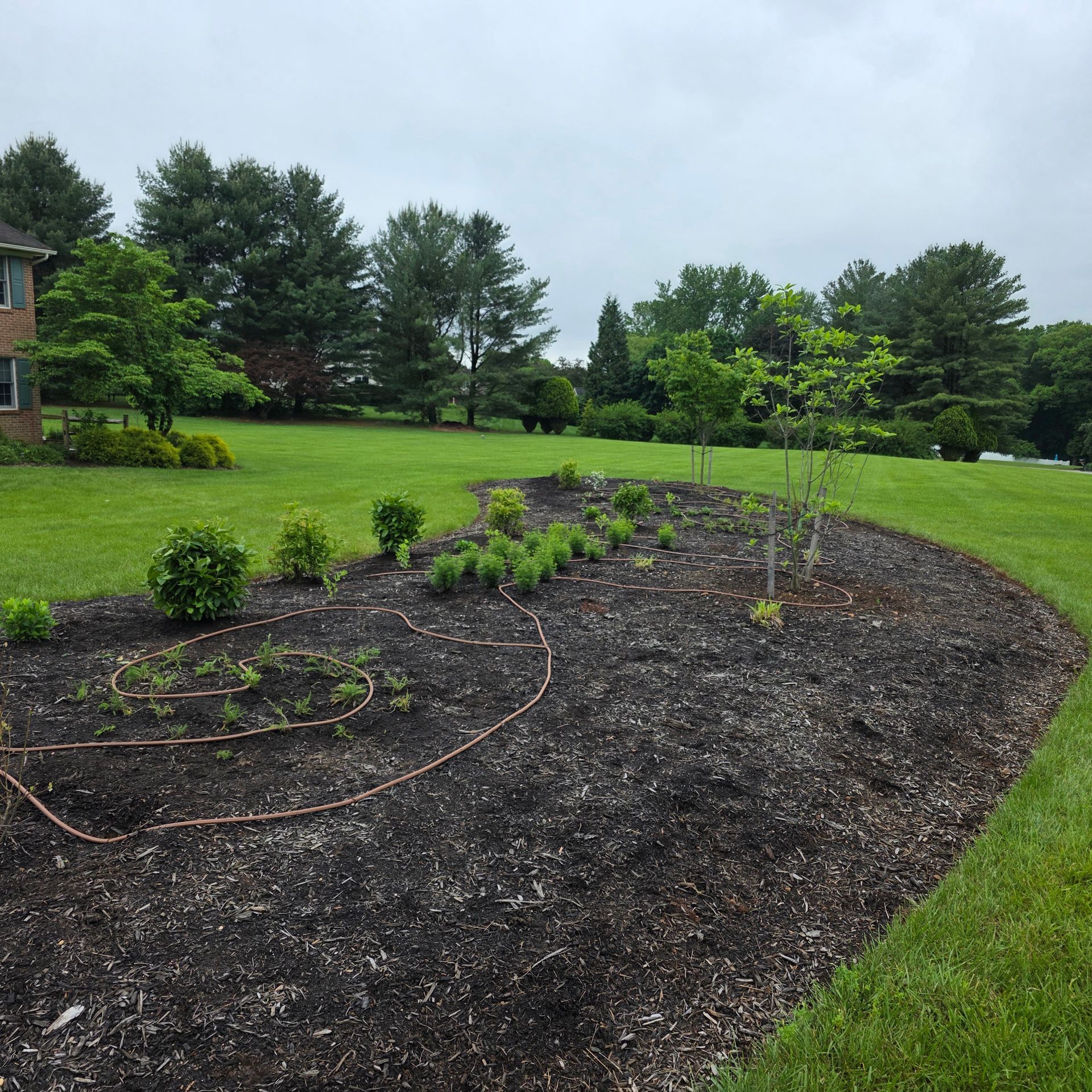 Lush garden bed with mulch, young plants, and an irrigation system in a green lawn, with trees in the background.