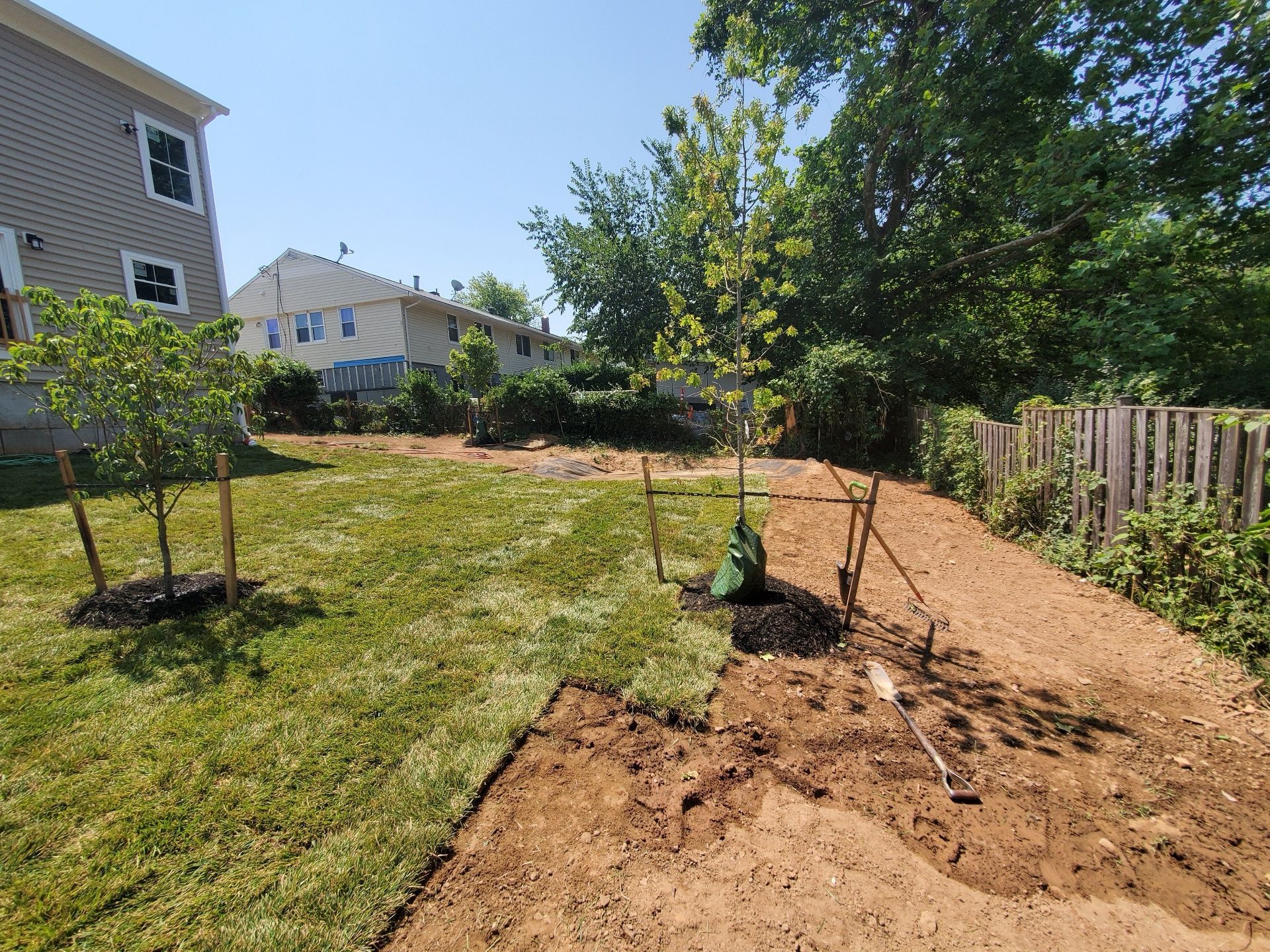 Backyard with newly planted trees, grass, and a fence on a sunny day.