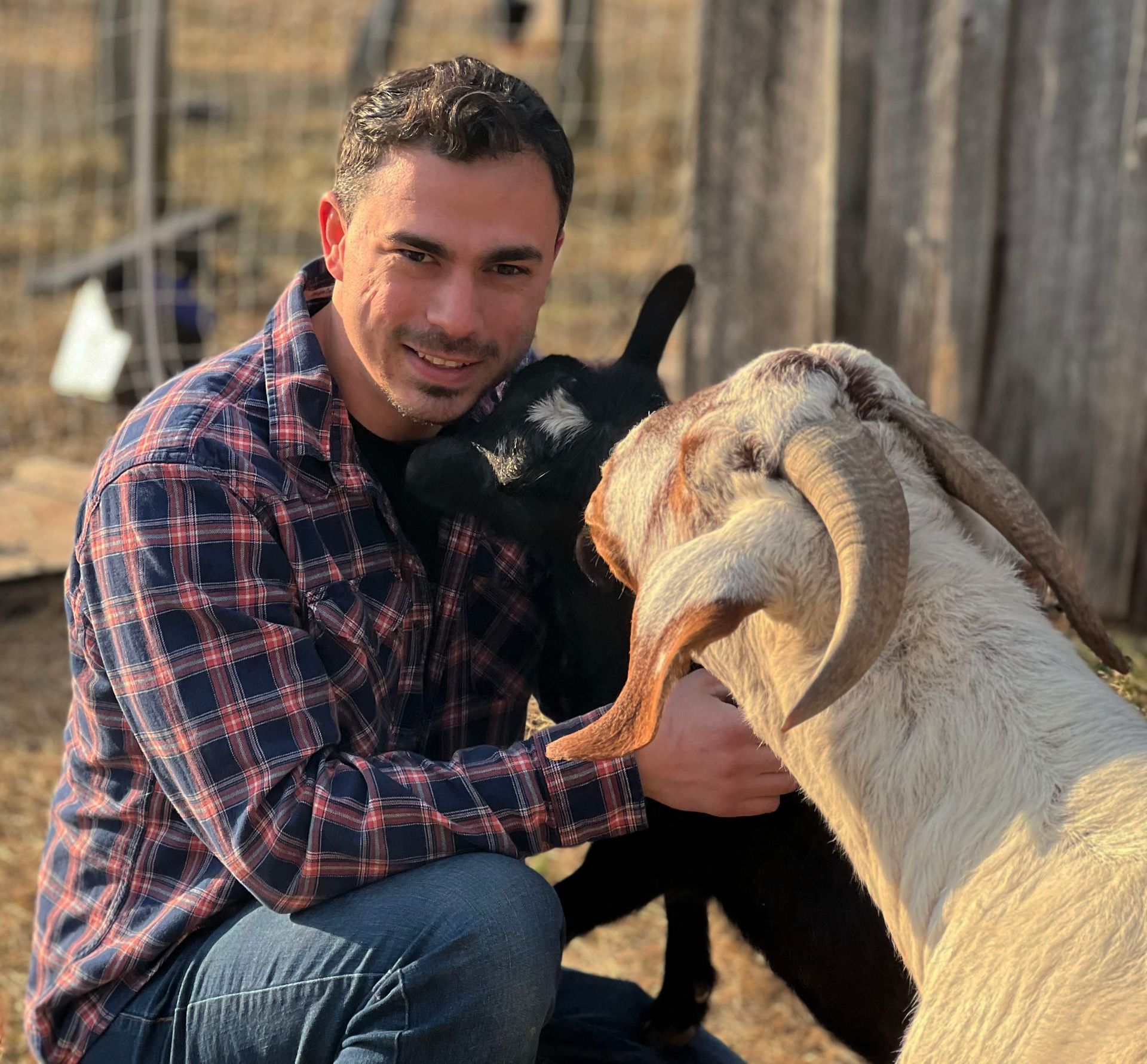 Man kneeling with two goats: black kid, and a tan goat with curved horns, in a rural setting.