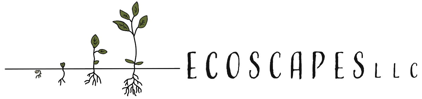 Logo with three plants in varying stages of growth and the words 