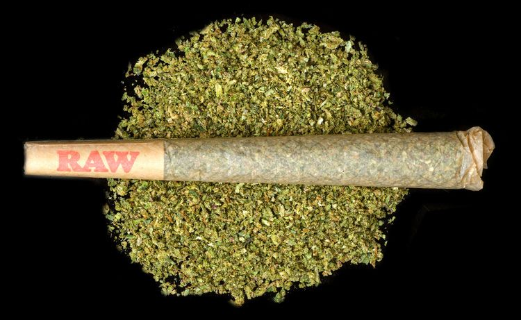 A clear glass water pipe for concentrates, featuring a vertical percolator, angled mouthpiece, and a glass banger nail.