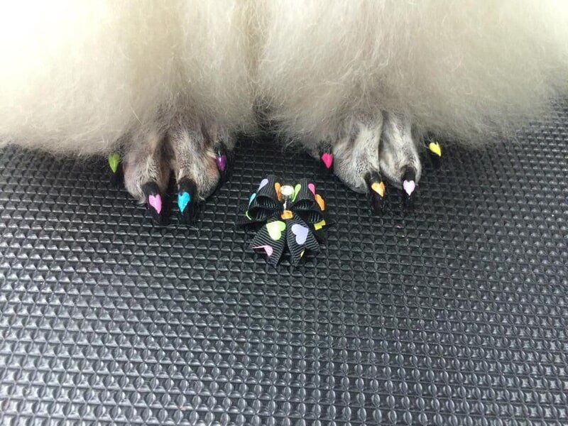 Heart shaped nails  — Dogoverboard in Adamstown, NSW