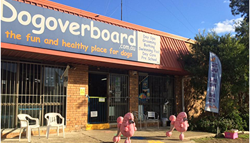 Company building — Dogoverboard in Adamstown, NSW