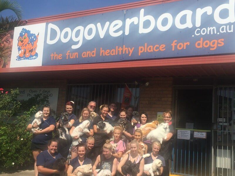 Company building and people with pets — Dogoverboard in Adamstown, NSW