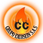 EXCOSEIN