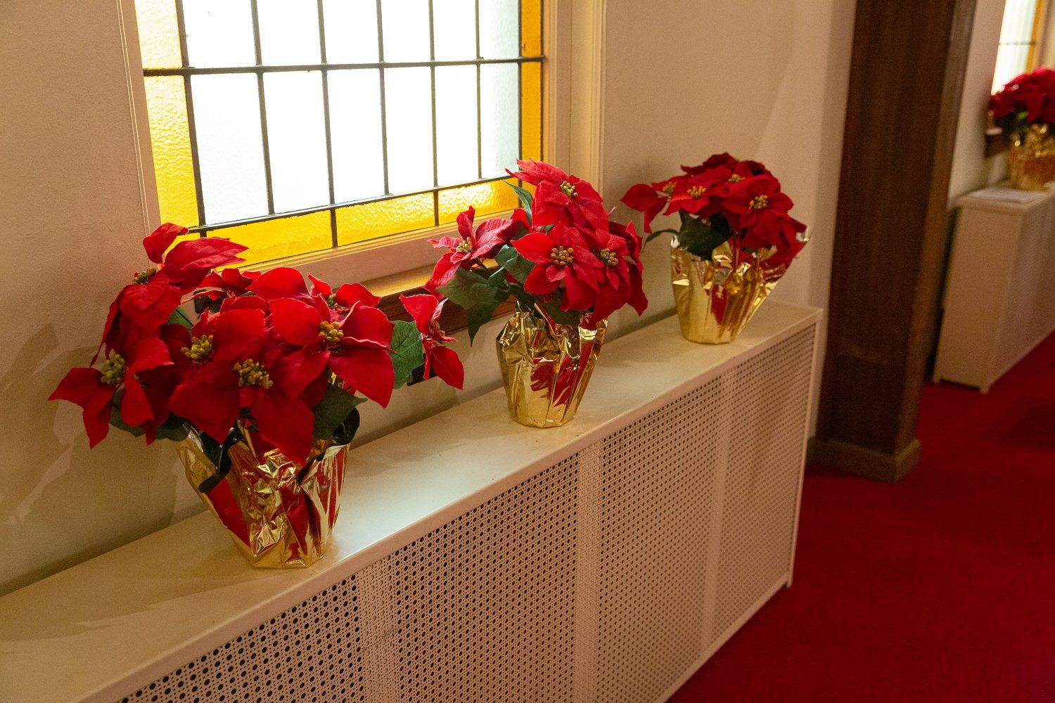 Three potted flowers are sitting on a radiator next to a window.