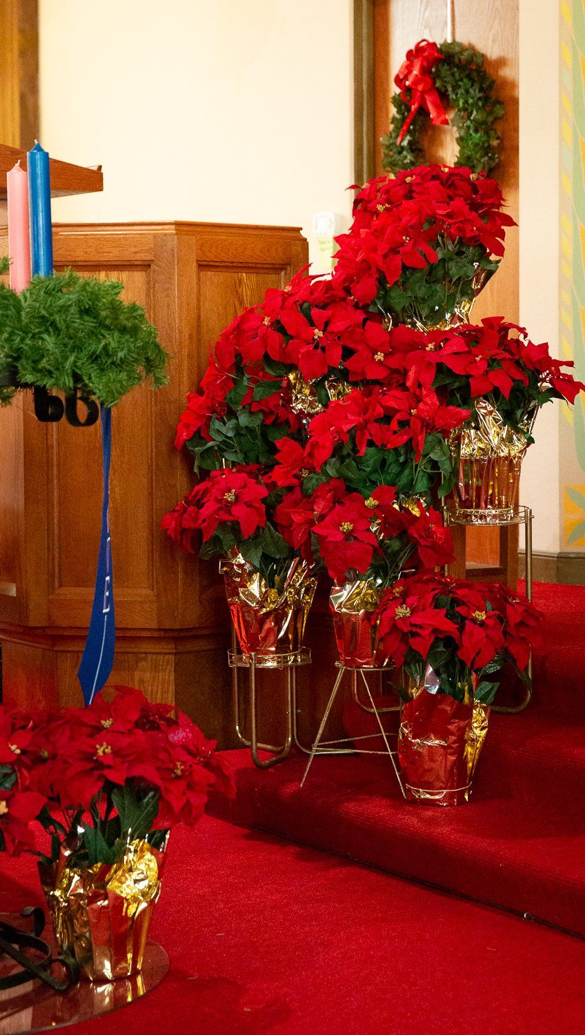 A christmas tree made of poinsettia flowers in a church