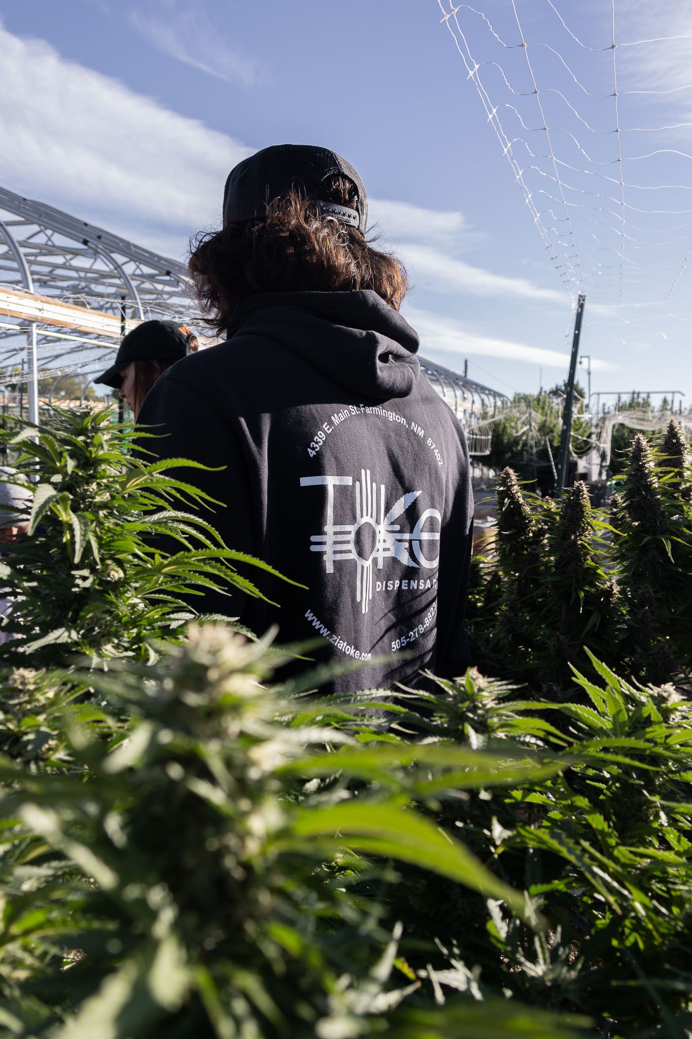 Toke Dispensary locally grown