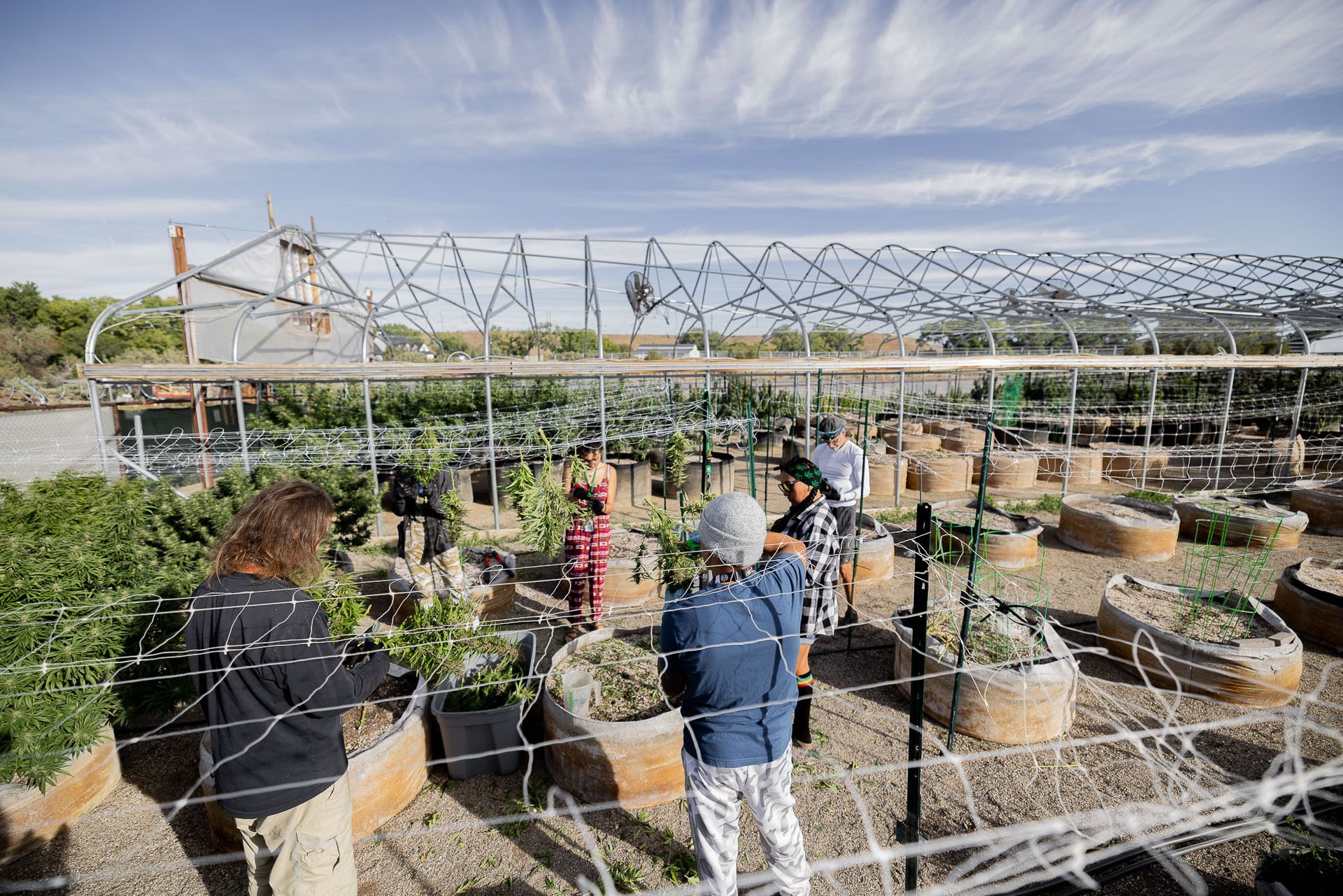 A group of people are standing in a garden
