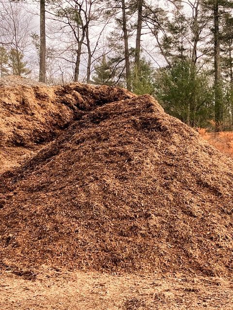 Pile of brown mulch in front of a forest with tall trees and a cloudy sky.